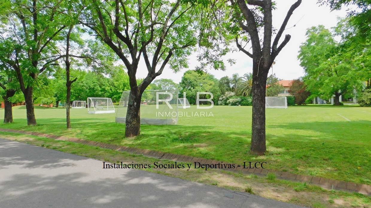 Slide 15